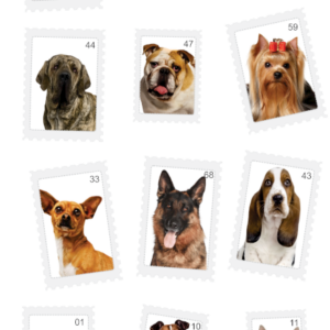 Papel de Parede ANIMAL 011
