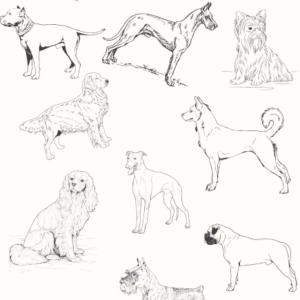 Papel de Parede ANIMAL 015