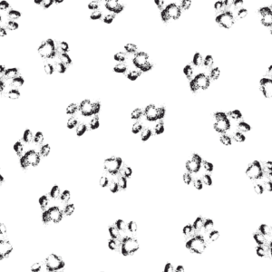 Papel de Parede ANIMAL 031