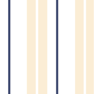 Papel de Parede LISTRADO 125