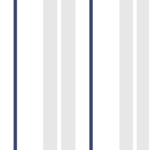 Papel de Parede LISTRADO 127