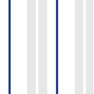 Papel de Parede LISTRADO 128