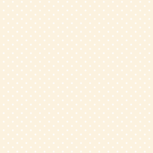 Papel de Parede POA 019