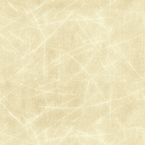 Papel de Parede TEXTURA 026