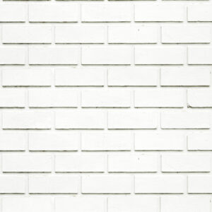 Papel de Parede TIJOLO 029